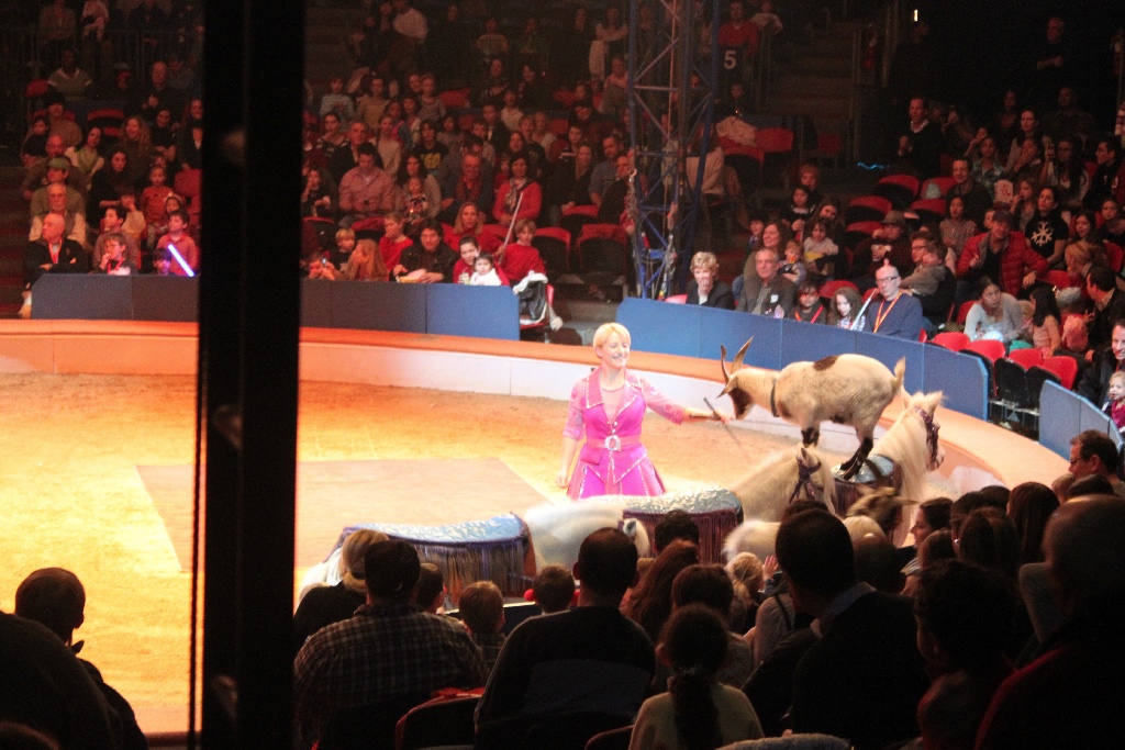 BAC 2011/01/08 - 101