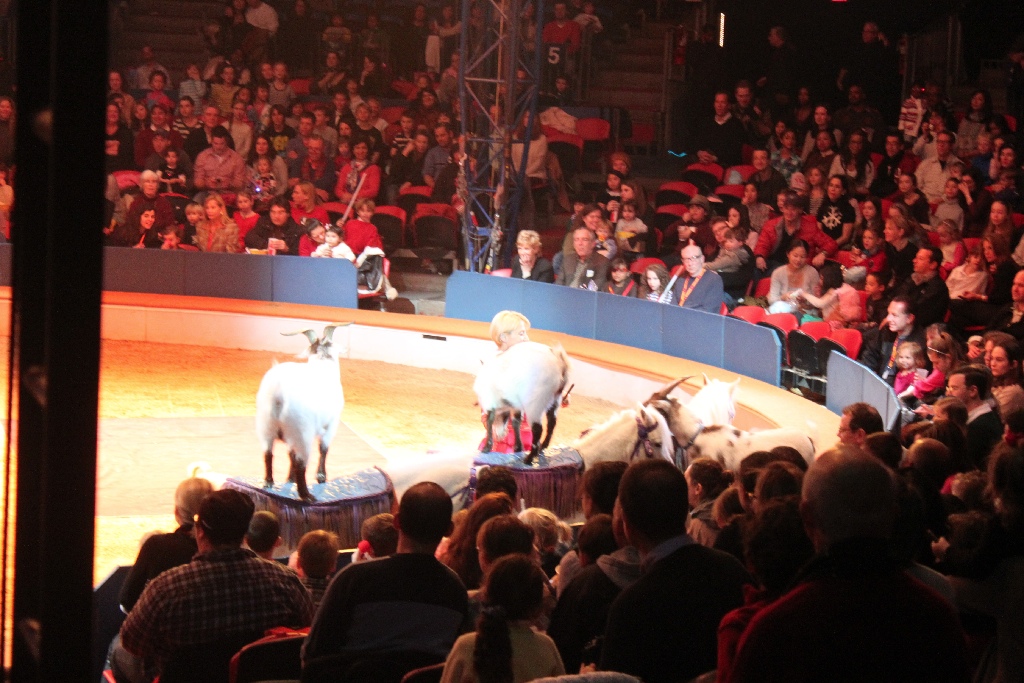 BAC 2011/01/08 - 102