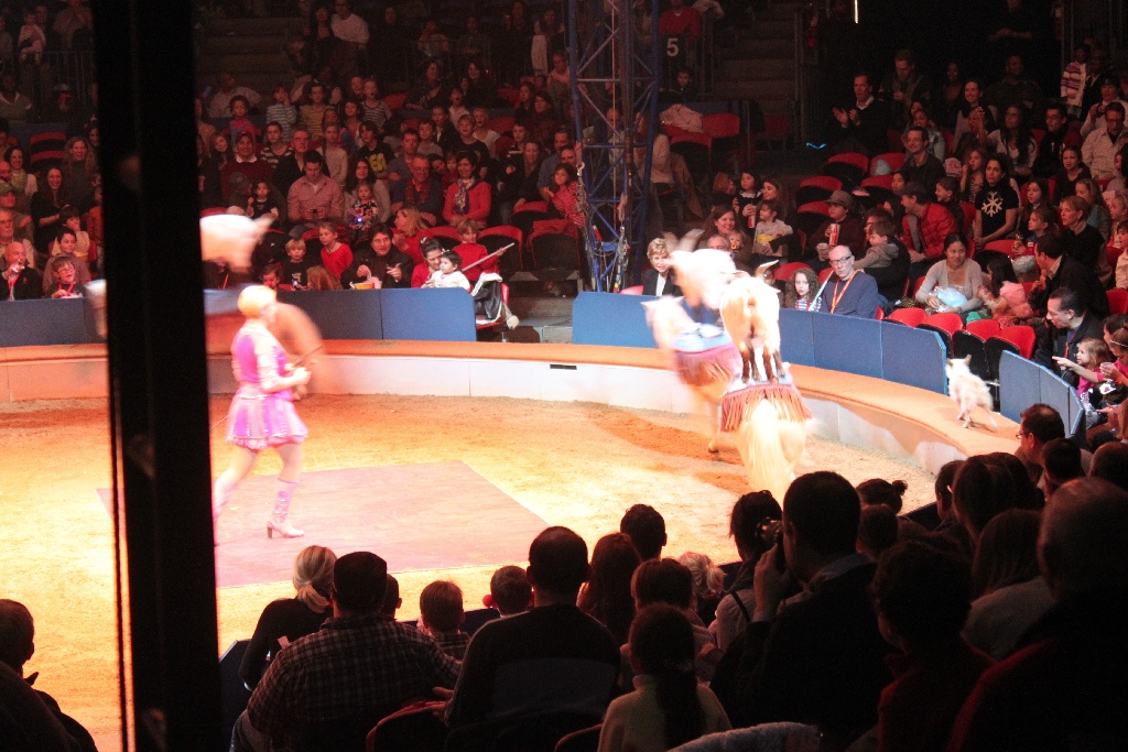 BAC 2011/01/08 - 103