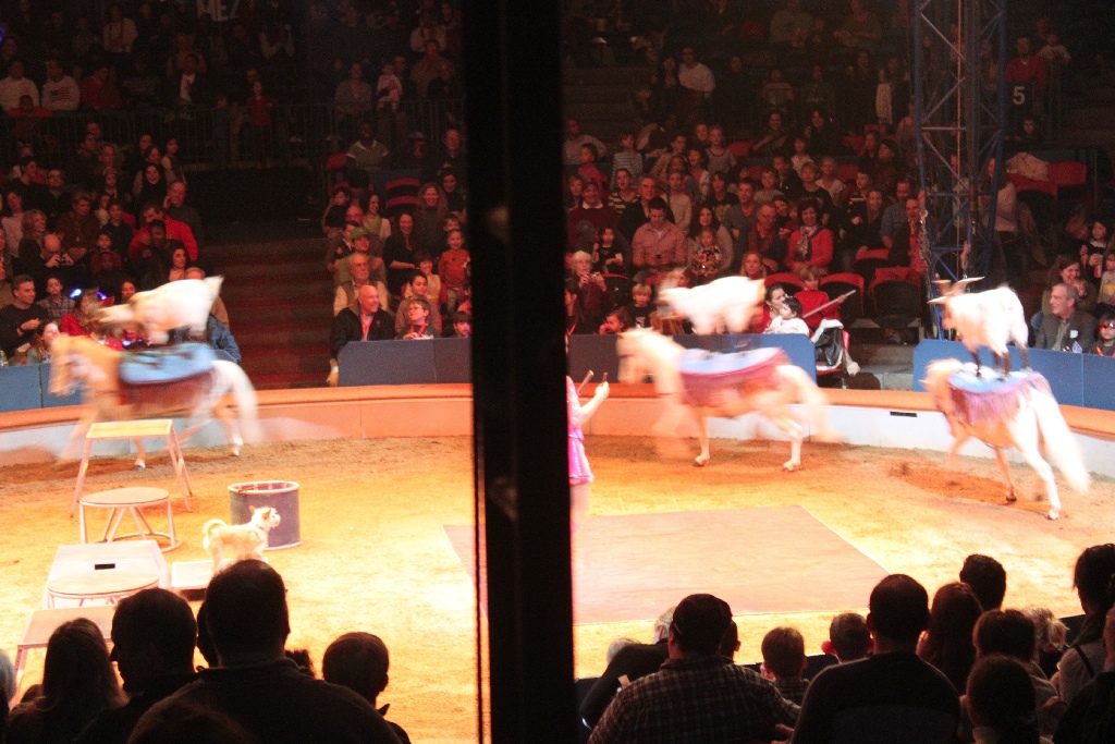 BAC 2011/01/08 - 104