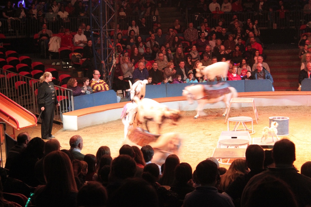 BAC 2011/01/08 - 106