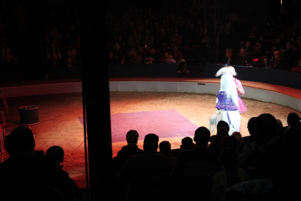 BAC 2011/01/08 - 112