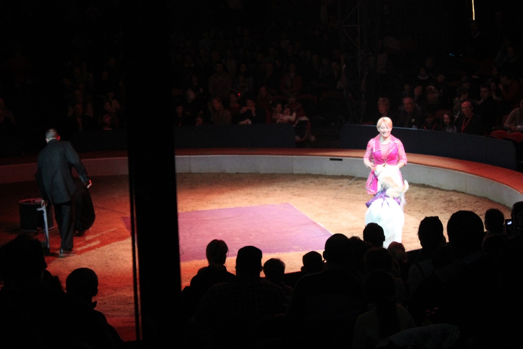 BAC 2011/01/08 - 116