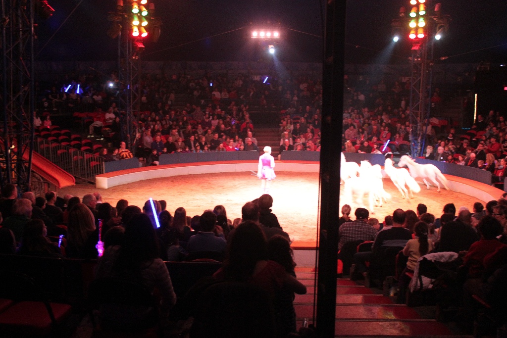 BAC 2011/01/08 - 123