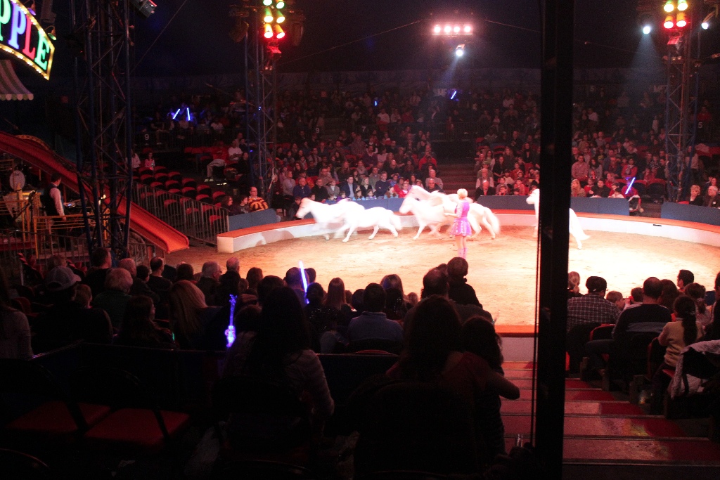 BAC 2011/01/08 - 126