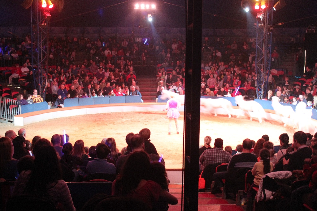 BAC 2011/01/08 - 129