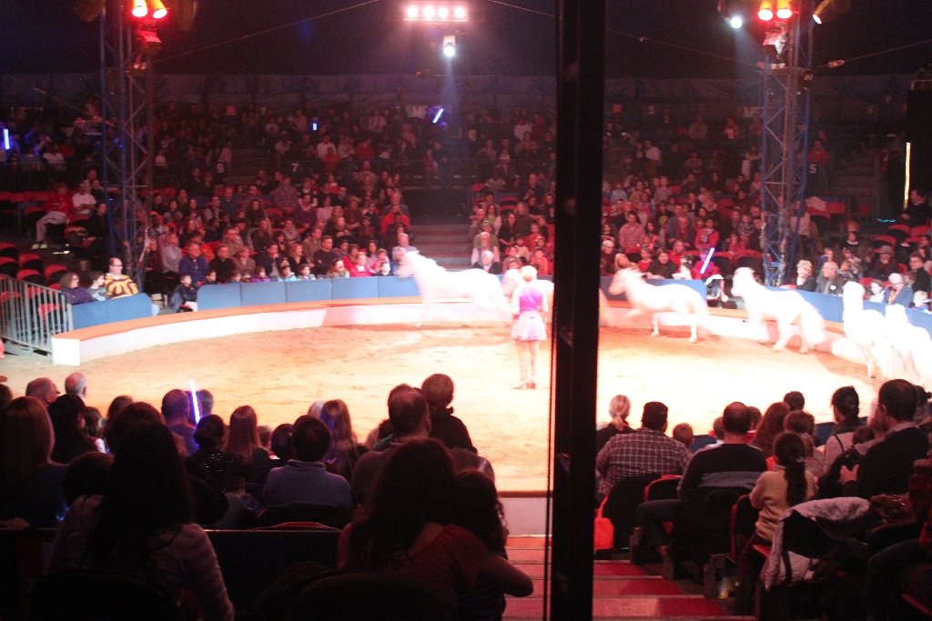 BAC 2011/01/08 - 130