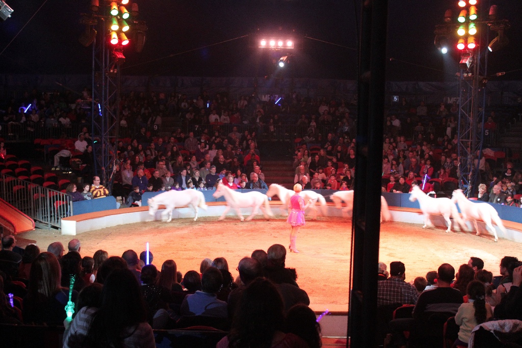 BAC 2011/01/08 - 132