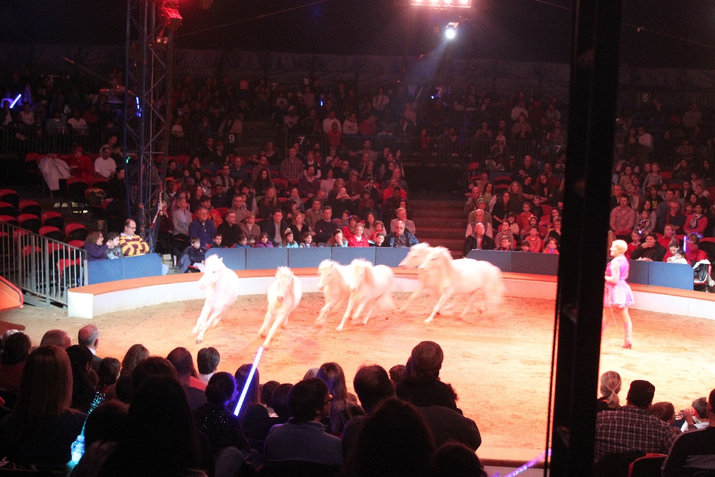 BAC 2011/01/08 - 133