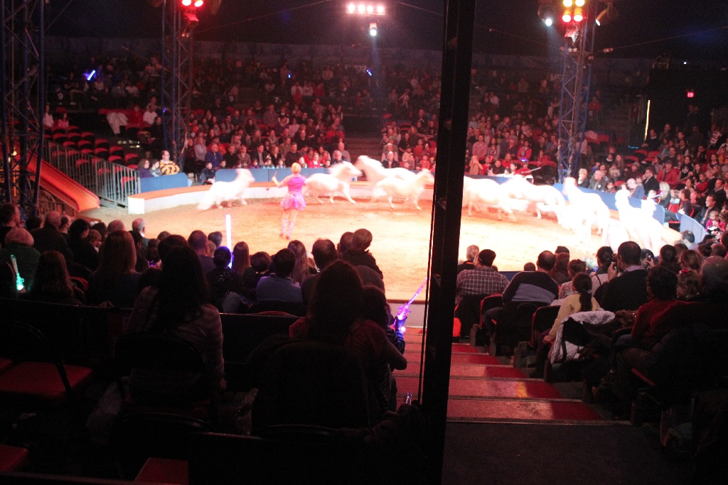 BAC 2011/01/08 - 134