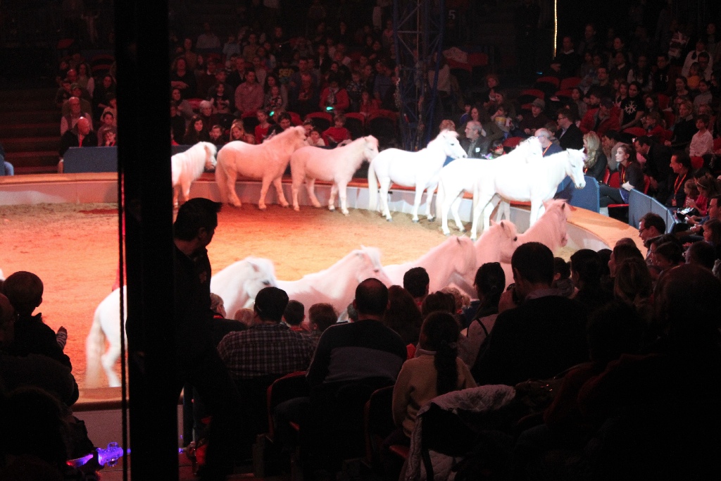 BAC 2011/01/08 - 137