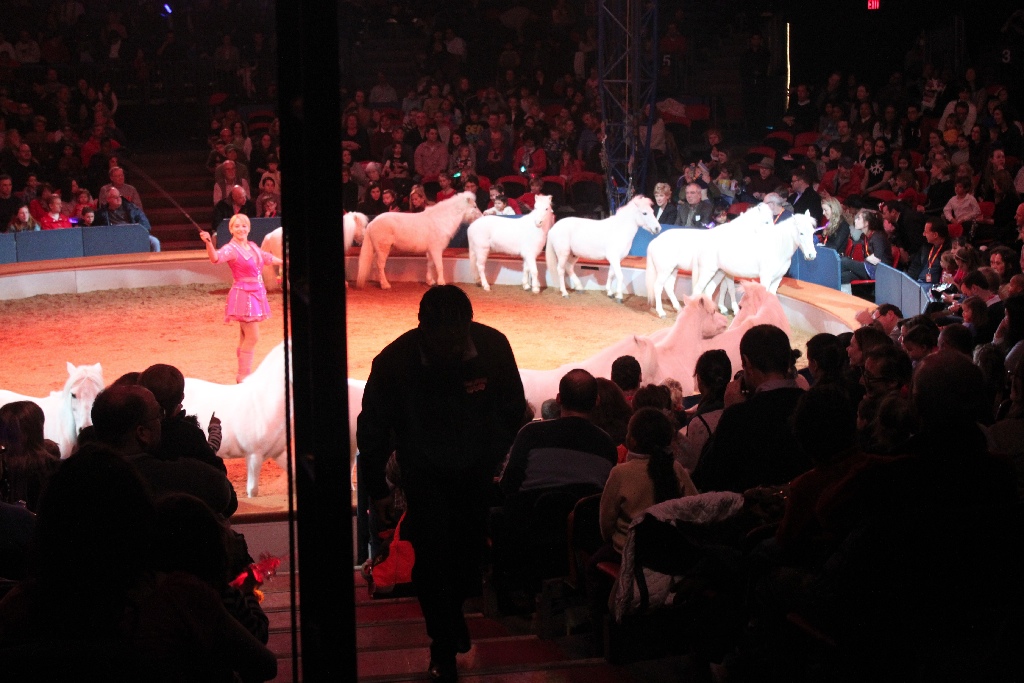 BAC 2011/01/08 - 138