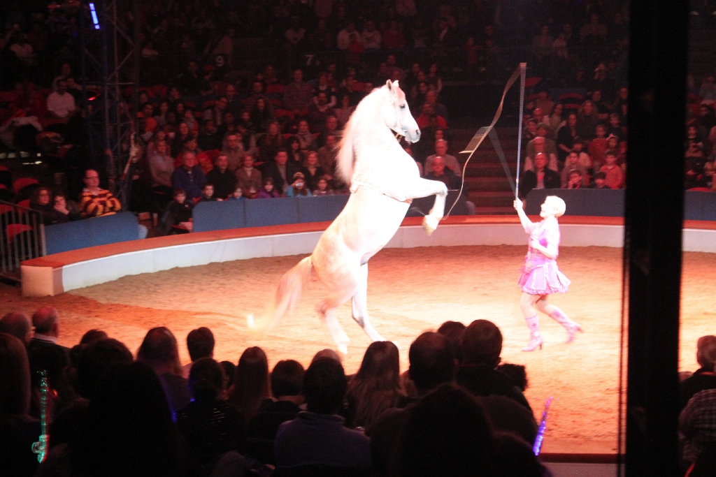 BAC 2011/01/08 - 141