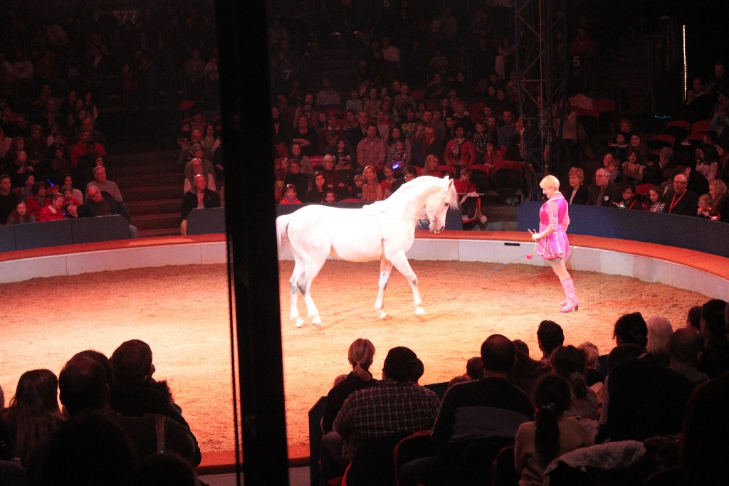 BAC 2011/01/08 - 142