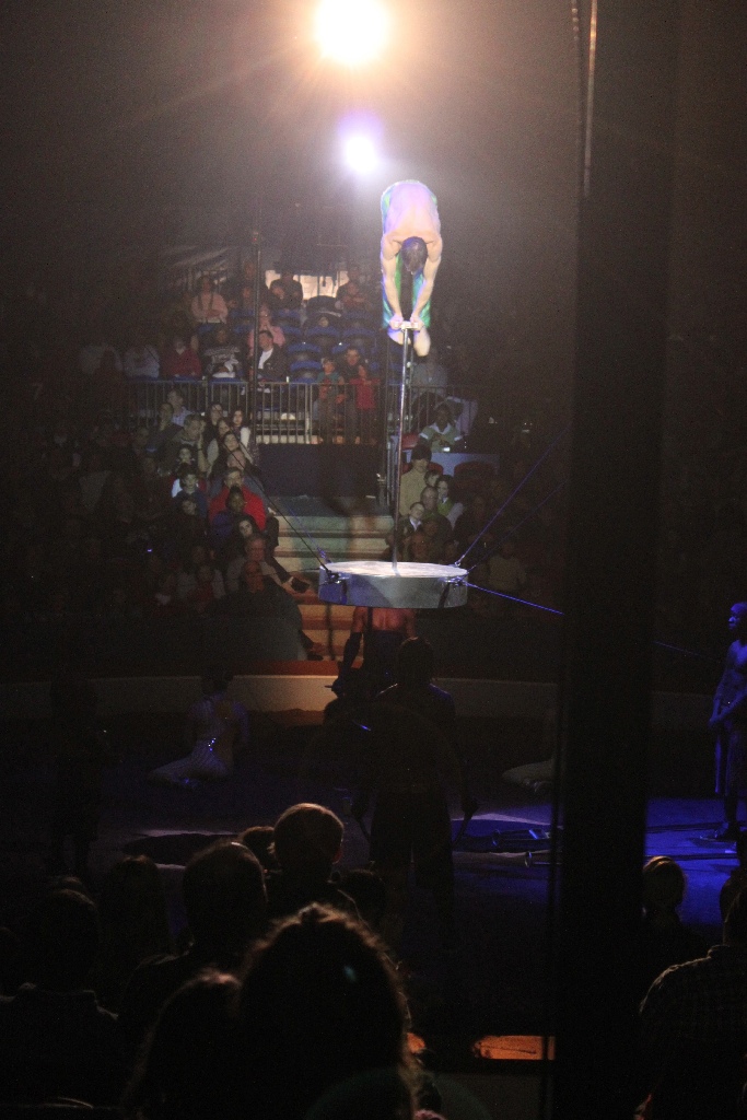 BAC 2011/01/08 - 209