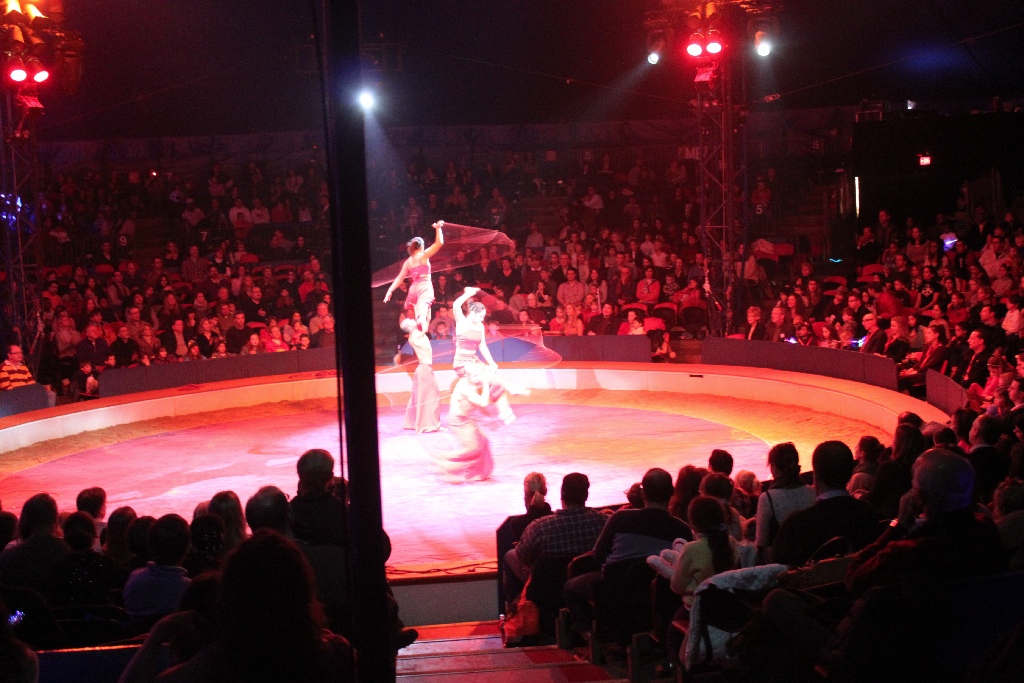 BAC 2011/01/08 - 250