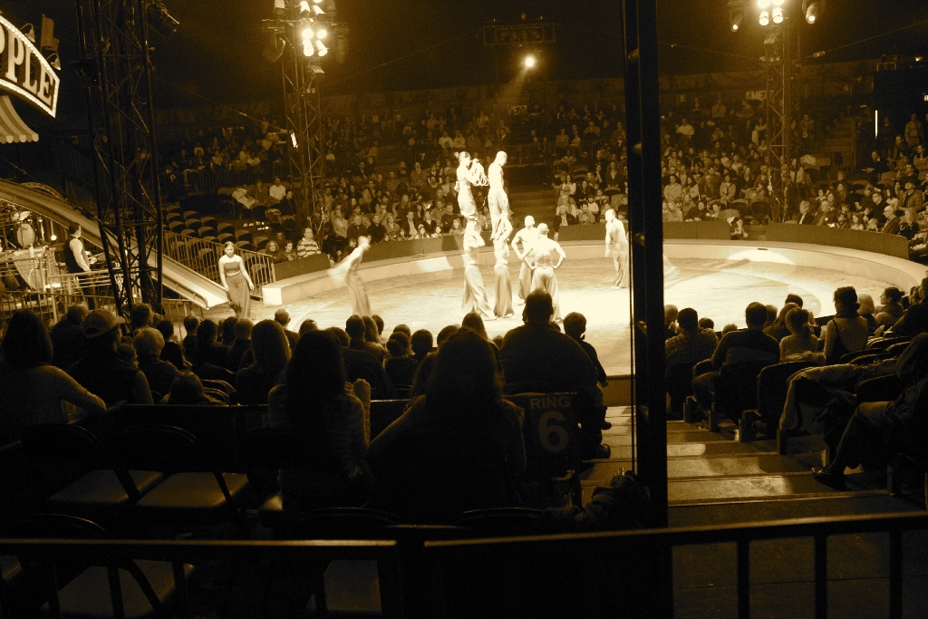 BAC 2011/01/08 - 274