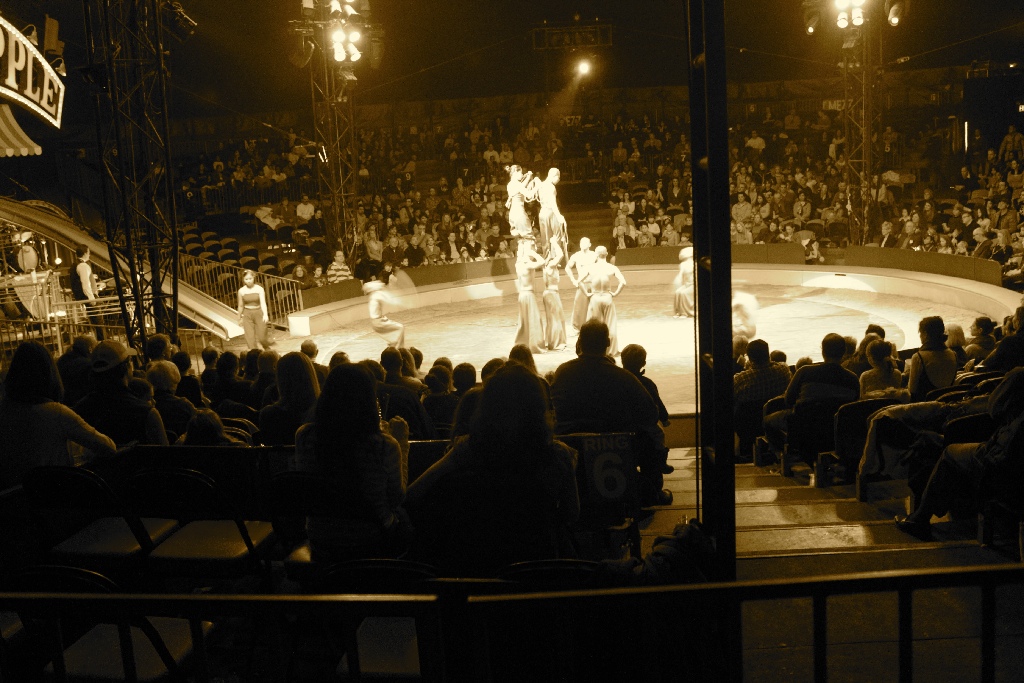 BAC 2011/01/08 - 275