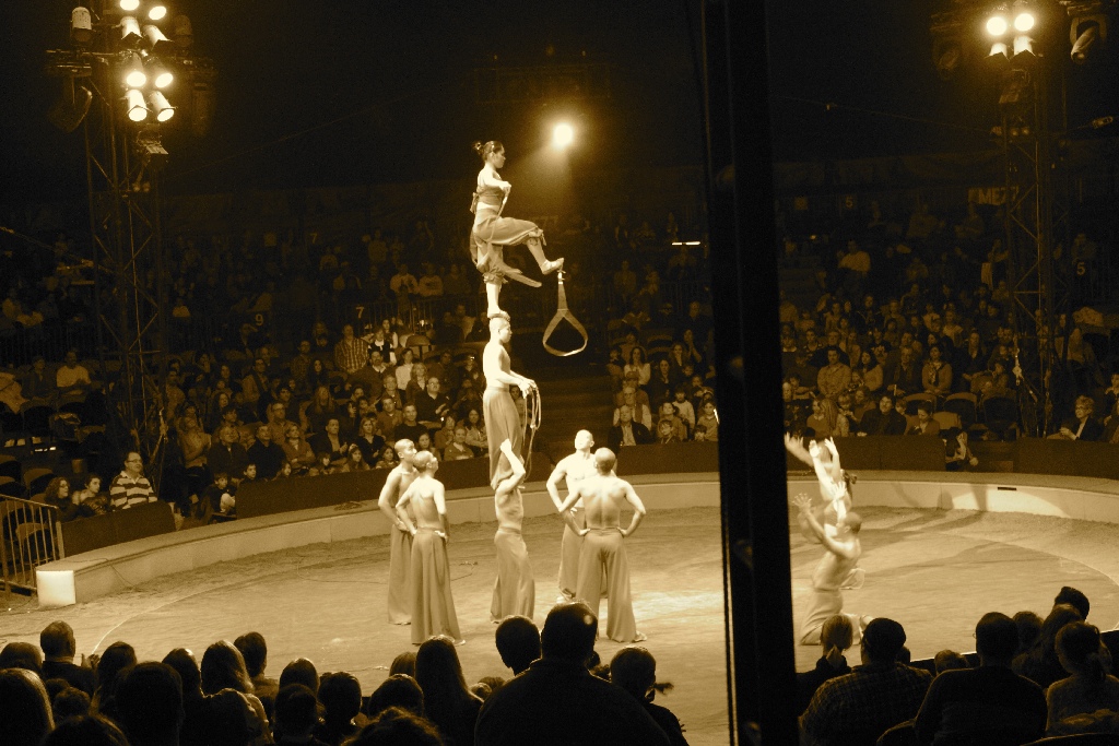 BAC 2011/01/08 - 310