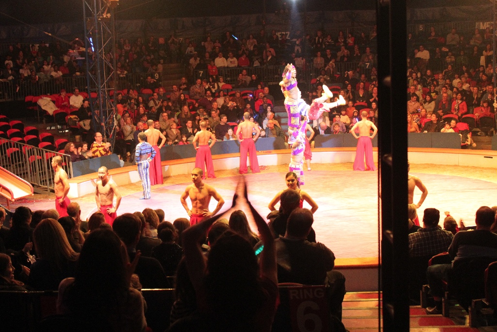 BAC 2011/01/08 - 333