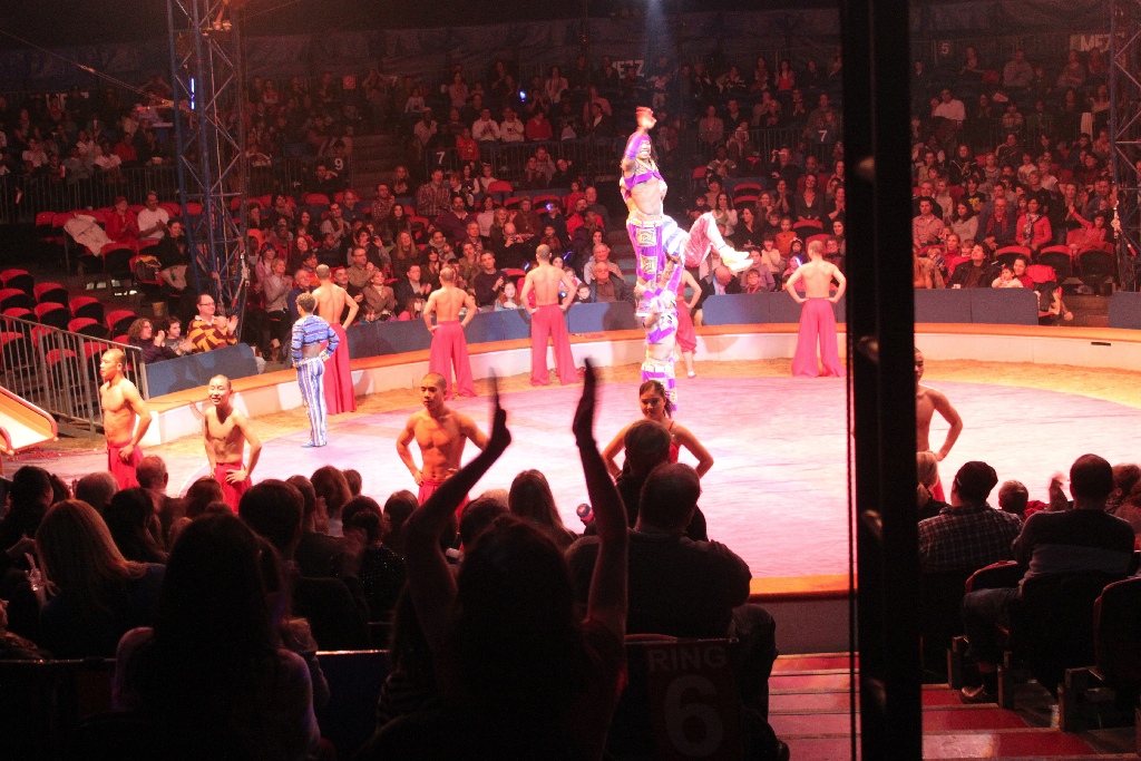 BAC 2011/01/08 - 335