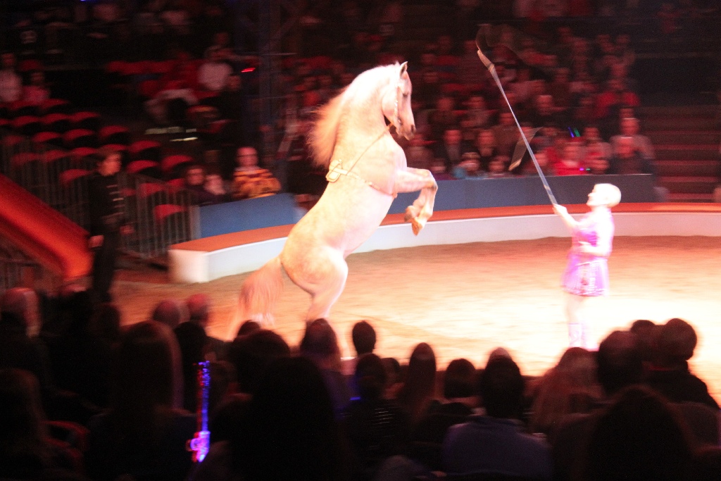 Full-size and frisky