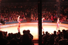 BAC 2011/01/08 - 008