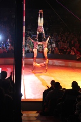 BAC 2011/01/08 - 012