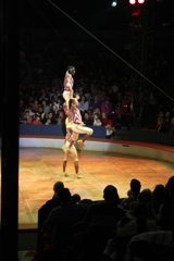 BAC 2011/01/08 - 015