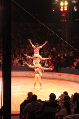 BAC 2011/01/08 - 029