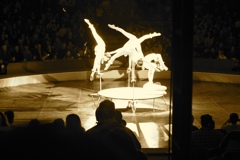 BAC 2011/01/08 - 040