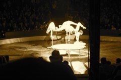 BAC 2011/01/08 - 047