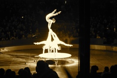 BAC 2011/01/08 - 058