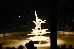 BAC 2011/01/08 - 061