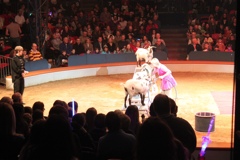 BAC 2011/01/08 - 064