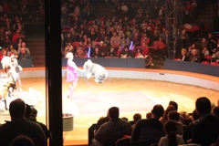 BAC 2011/01/08 - 068