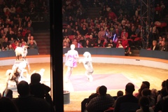 BAC 2011/01/08 - 070