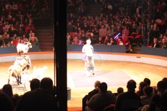 BAC 2011/01/08 - 073