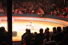 BAC 2011/01/08 - 077