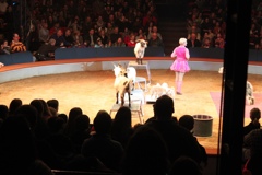 BAC 2011/01/08 - 082