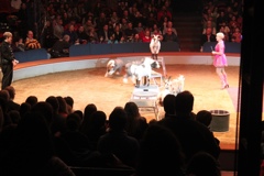 BAC 2011/01/08 - 084