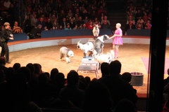 BAC 2011/01/08 - 085