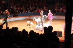 BAC 2011/01/08 - 086