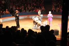 BAC 2011/01/08 - 087