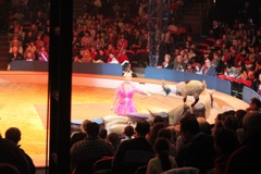 BAC 2011/01/08 - 100