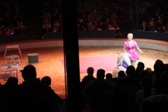 BAC 2011/01/08 - 108