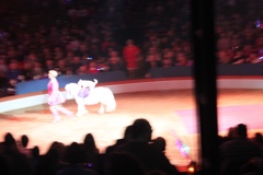 BAC 2011/01/08 - 119