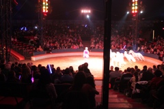 BAC 2011/01/08 - 123