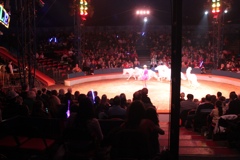 BAC 2011/01/08 - 125