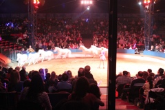 BAC 2011/01/08 - 131